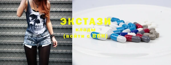 ECSTASY Богородицк