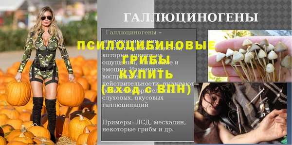 дурь Бугульма