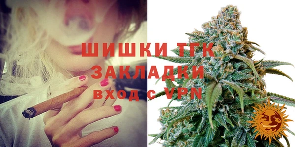 ECSTASY Богородицк