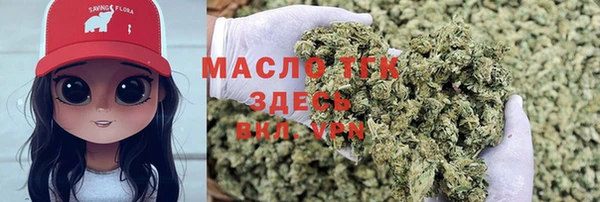 тгк Богданович