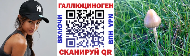 Псилоцибиновые грибы ЛСД  Минеральные Воды 