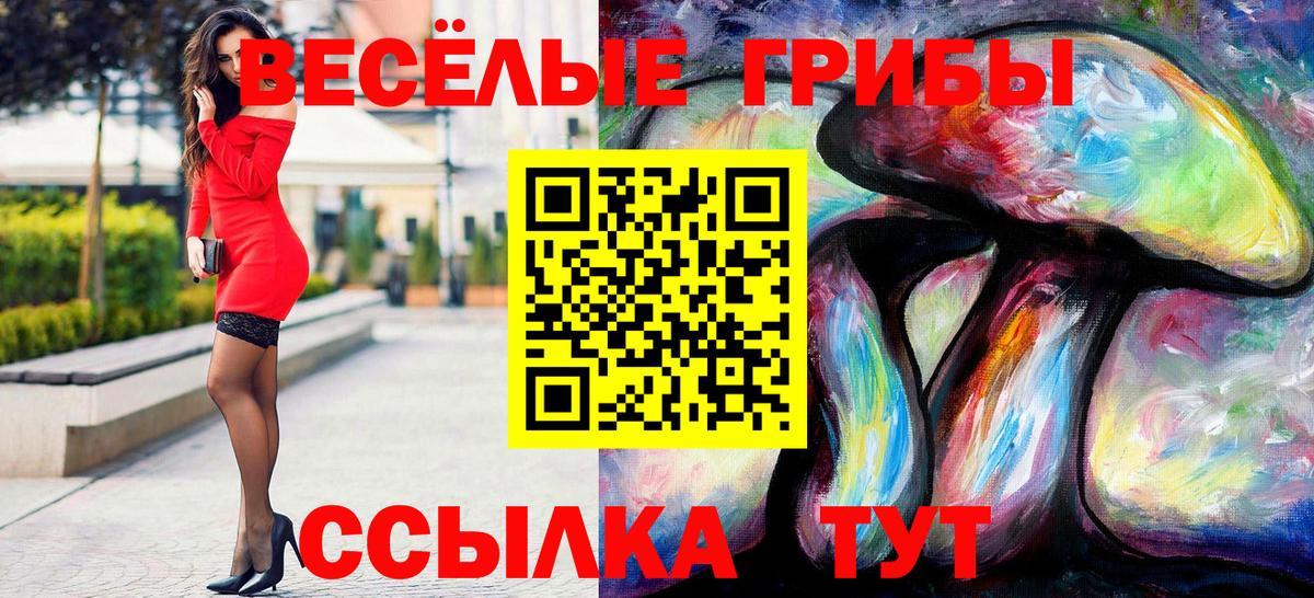 МЕФ Минеральные Воды