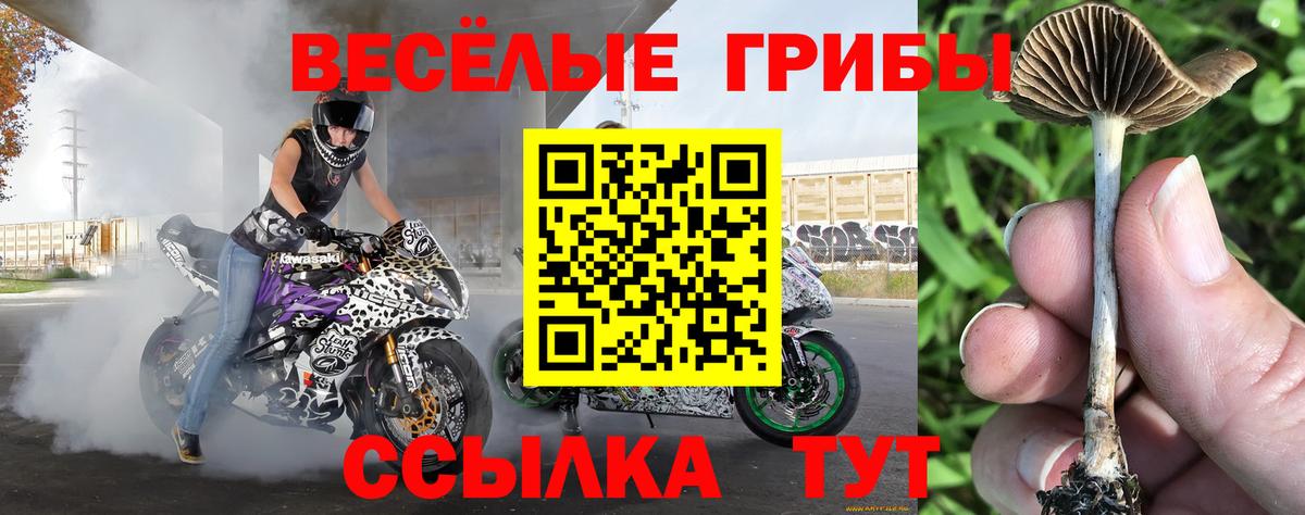 Минеральные Воды  Псилоцибиновые грибы Magic Shrooms  Вход с VPN 